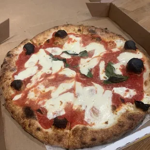 Margherita Pizza