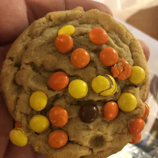a hand holding a chocolate chip cookie