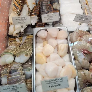 Scallops &amp; Lobster