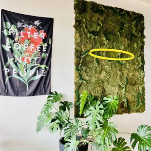 Decor: moss wall and Monstera deliciosa plant