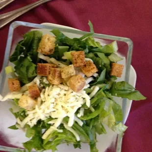 Delicious salad with  crotons &amp; cheese