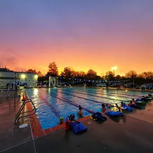 Tide Swiming sunset