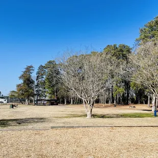 Large open area between playground and heading toward water