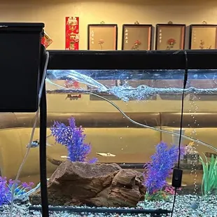 For Aquarium Lovers of All Ages!