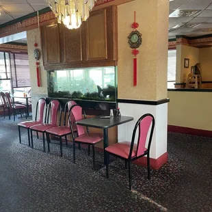 Fish tank inside