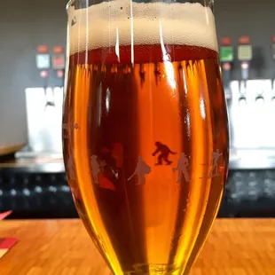 Titan Ipa