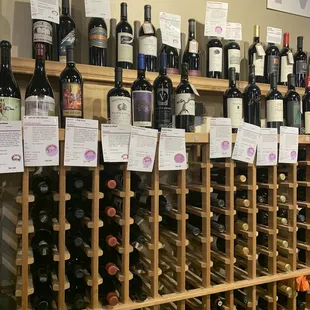 rows of wine bottles in a wine cellar