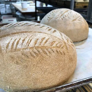 Fresh loaves of Honey Whole Wheat