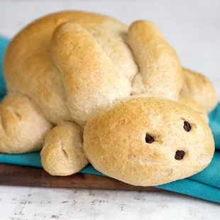 a teddy bear on a blue napkin
