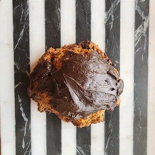 Turtle Scone
