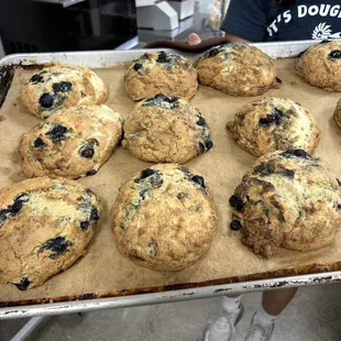 Blueberry scones