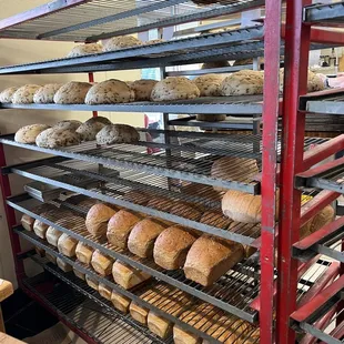 a variety of breads on racks