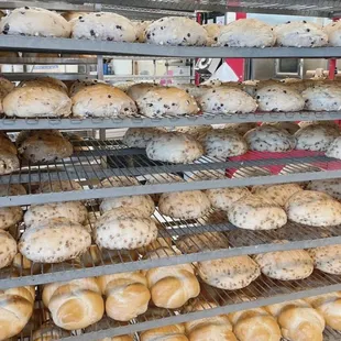 Photos for Great Harvest Bread