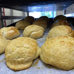 BOLO BAO sweet buns! Most Fridays at Great Harvest! See you soon!