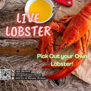 Limited Time, we are now Serving Live Lobsters, You Pick out your own lobster! we&apos;ll do the cooking! Call Us for more infos 917-746-8606 #
