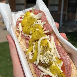 Italian Sub