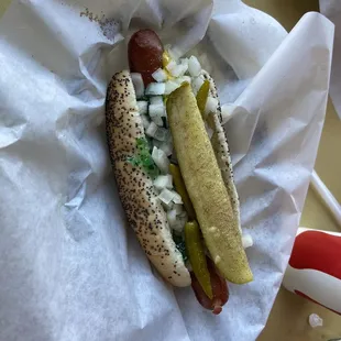 Chicago Dog