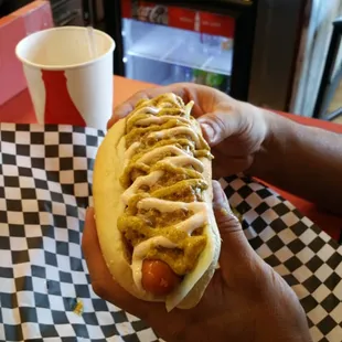New Las Vegas Dog