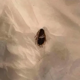 Shut them down!! We're sick and tired of your pest problems, that you choose not to acknowledge.