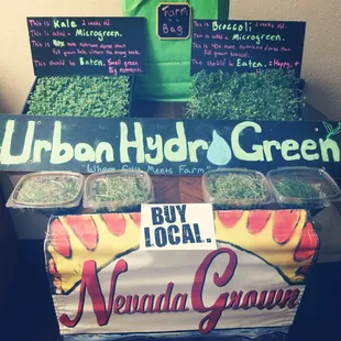 a display of urban herbs