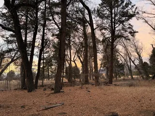 Willow Pk Picnic Area