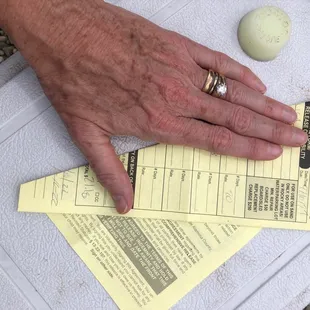 Rental of one sand sled