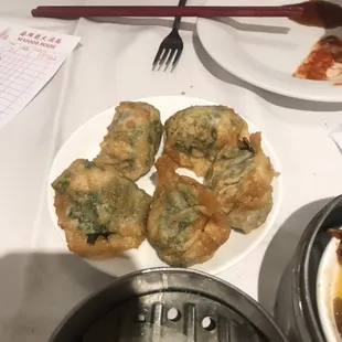 Fried Dumplings