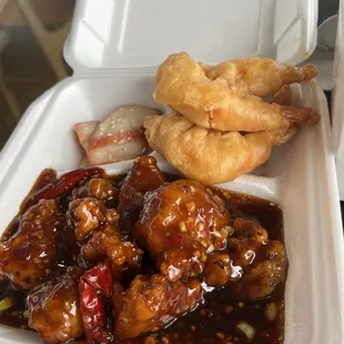 Combo #9. The fried rice is in a separate container.