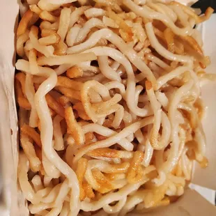 Half-Order Pan Fried Noodles
