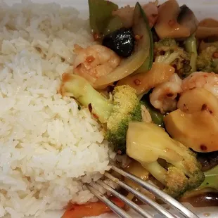 Shrimp with garlic sauce lunch order