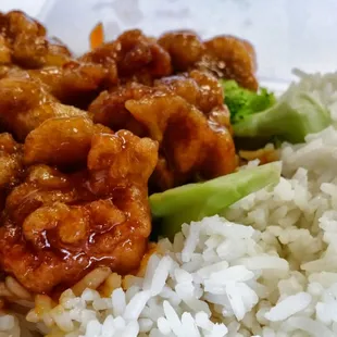 Orange Chicken Dinner Combo