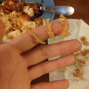 a hand holding a plate of food