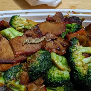 the worm, pictured on food for comparison.