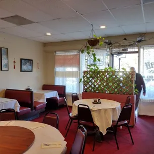 a woman standing in the dining room