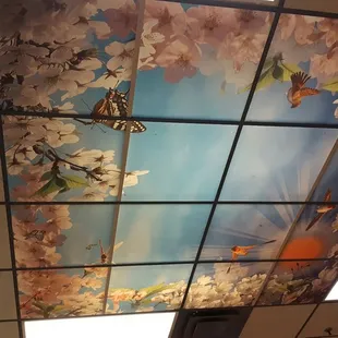 Gorgeous ceiling tiles