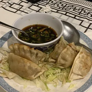 Meat Dumplings