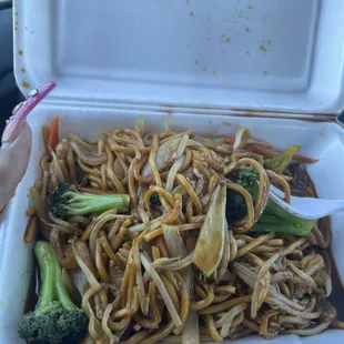 Veggie lo mein not dry