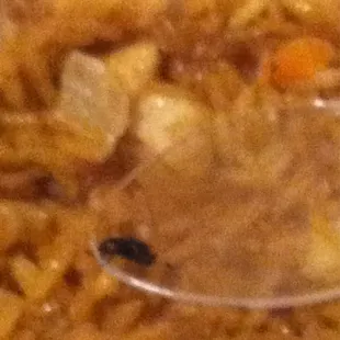 My husband find a fly in his fried rice never eat at this place dame