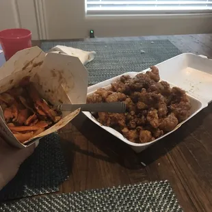 General Tso&apos;s chicken and Garlic Chicken