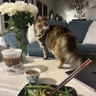 We love this place! I've been coming here since I was 2 or 3 years old! I'm 25 now and still love the hot and sour soup :)