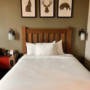 Wolf den suite room #2238