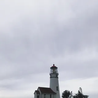 D O.