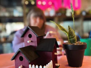 GROW Plant Bar