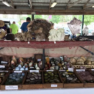 Polished rocks and neat fossils