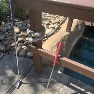 Wide variety of putter sizes, pictured is one for someone 6&apos;1&quot; and one for someone 5&apos;2&quot;
