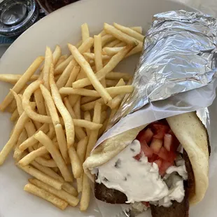 Gyro with fries