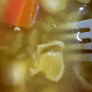 Short piece of hair in soup