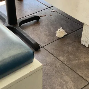 Trash on floor in dining room