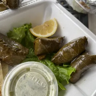 Stuffed grape leaves were spoiled. Leaves were brown and slimy to the touch. Very disappointing.