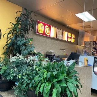 Chicken gyro is $9.79 plus tax not $4.00